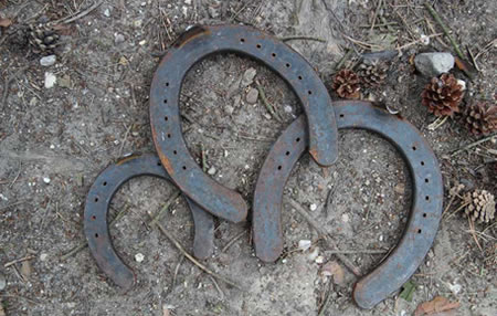 Planwagenfahrten Winkelmann: Bauernolympiade in Nettetal Planwagenfahrten Winkelmann: Bauernolympiade in Nettetal