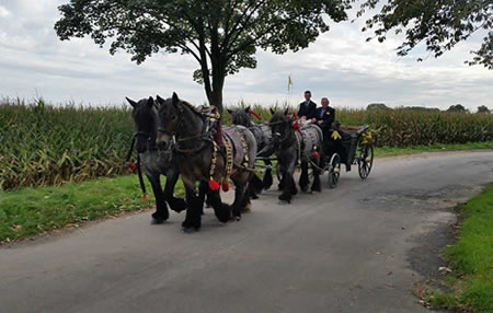 Planwagenfahrten Winkelmann: Pferdeverleih in Nettetal Planwagenfahrten Winkelmann: Pferdeverleih in Nettetal
