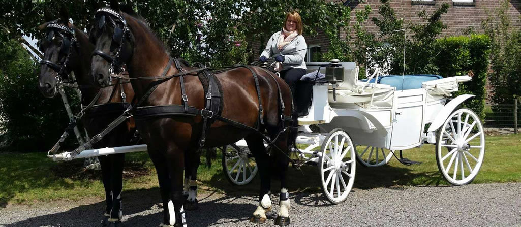 Planwagenfahrten Winkelmann: Hochzeitskutsche in Nettetal ...