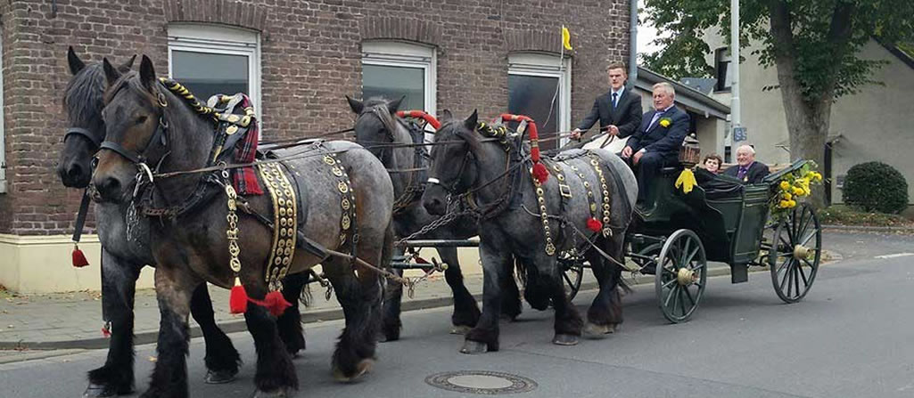 Planwagenfahrten Winkelmann: Pferdeverleih in Nettetal ...